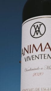 Marketing bodegas de vino