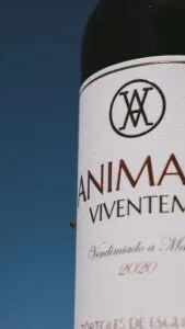 Marketing bodegas de vino
