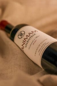 Vídeo marketing, Agencia de marketing online