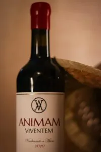 Marketing de vino