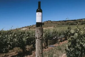Creación de página web y ecommerce para Animam Viventem en Valladolid, bodega de ino de Ribera del Duero