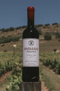 Fotógrafode fotoproducto en Valladolid