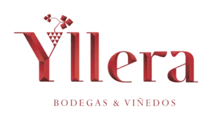 Bodega Yllera Vino